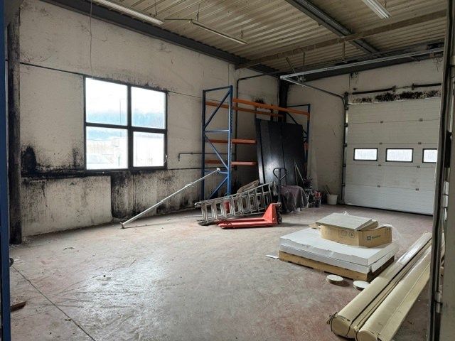 commerce en location sur MARNAZ (74460)